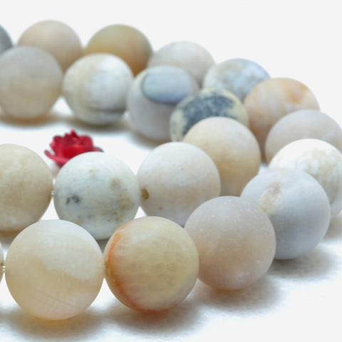 YesBeads Natural Ocean Fossil Coral Agate matte round loose beads wholesale gemstone jewerly 15"